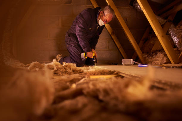 Best Attic Insulation Installation  in Scow Mills, MO